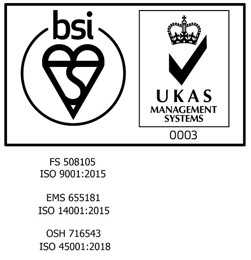 BSI Logo