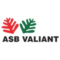 ASB valiant logo