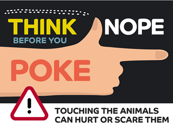 “Think NOPE before you POKE!” says ZSL London Zoo
