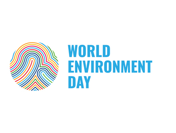 Celebrating World Environment Day: Top Tips for Environmental Management