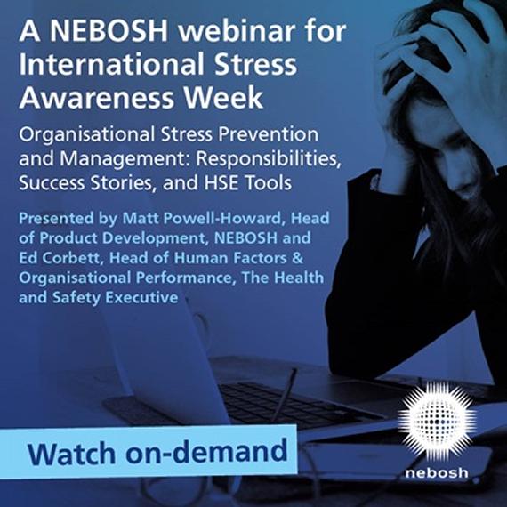 Organisational Stress Prevention and Management: Responsibilities, Success Stories, and HSE Tools