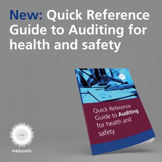 Remarkable people receive NEBOSH Honorary Diplomas NEBOSH